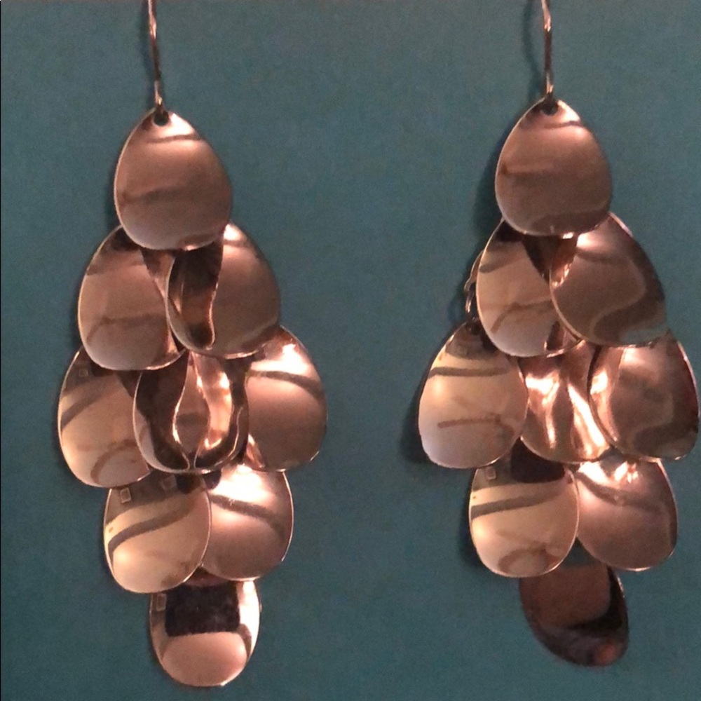 Silver Dangling Earrings - image 1